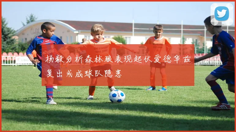 杨毅分析森林狼表现起伏爱德华兹复出或成球队隐患